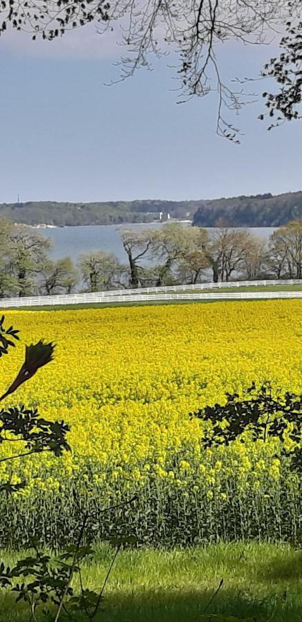 Ferienwohnung Leopold-Risch Ralswiek Exteriör bild