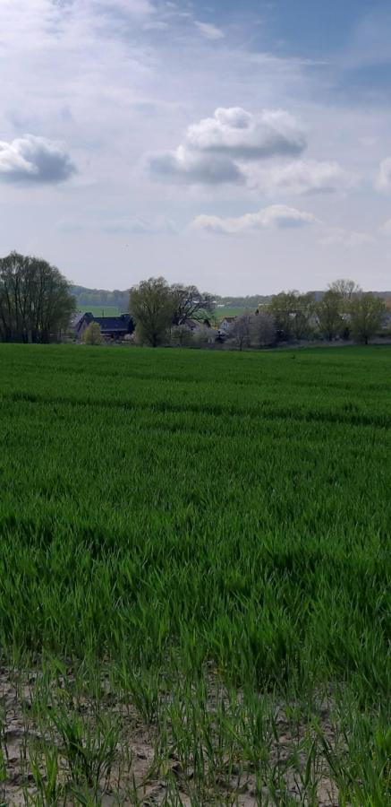 Ferienwohnung Leopold-Risch Ralswiek Exteriör bild